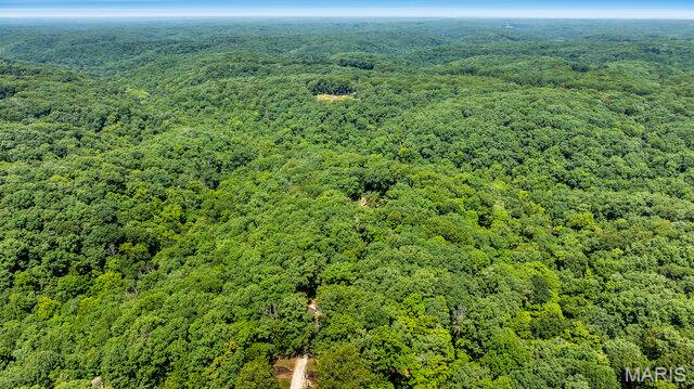 23540 Cabin Ridge Drive Property Photo 6
