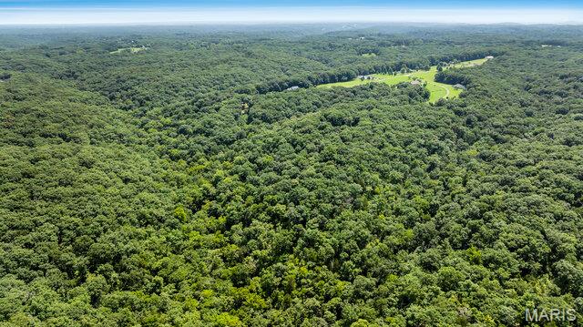 23540 Cabin Ridge Drive Property Photo 61