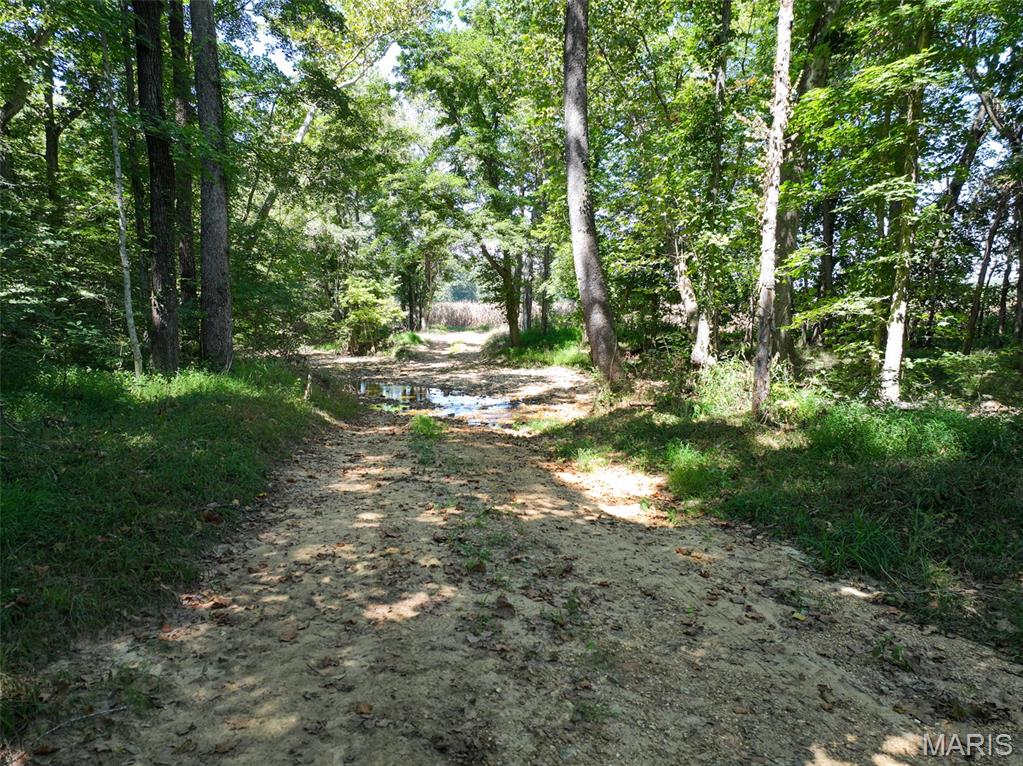 48831 State Highway 51 Property Photo 53