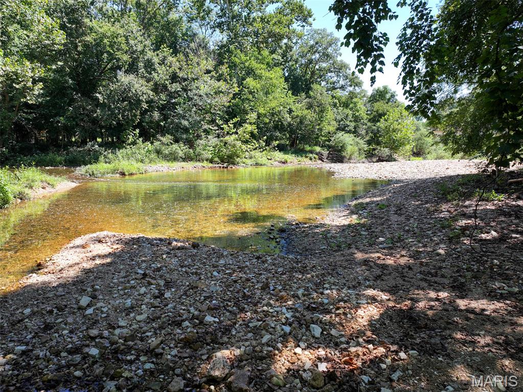 48831 State Highway 51 Property Photo 55