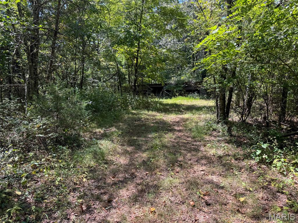 48831 State Highway 51 Property Photo 85