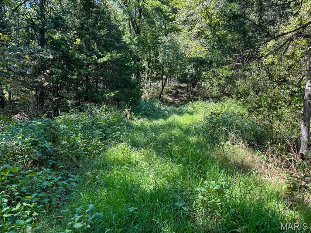 48831 State Highway 51 Property Photo 86