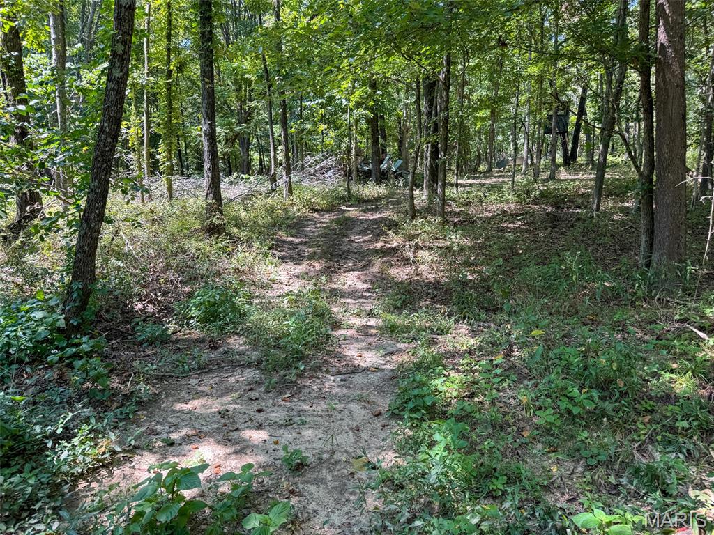 48831 State Highway 51 Property Photo 87