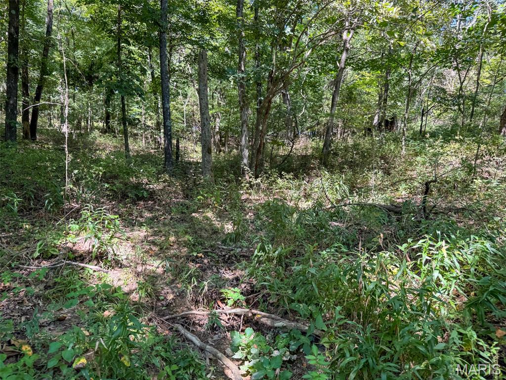 48831 State Highway 51 Property Photo 88
