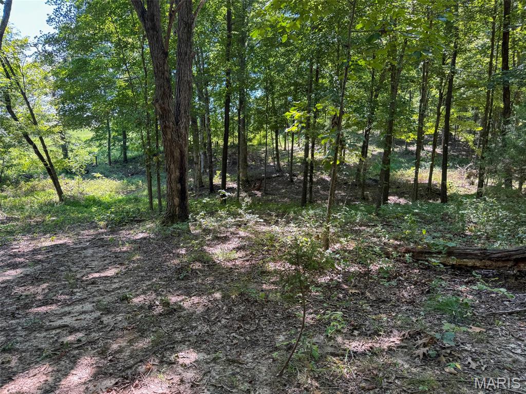 48831 State Highway 51 Property Photo 89
