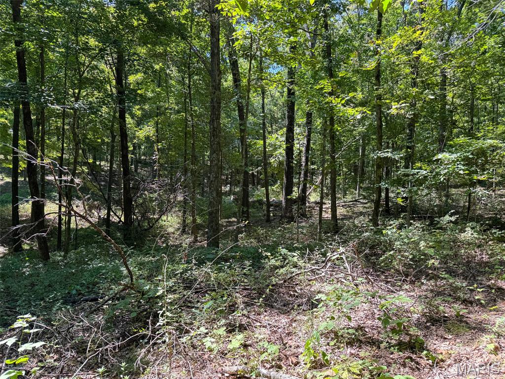 48831 State Highway 51 Property Photo 91