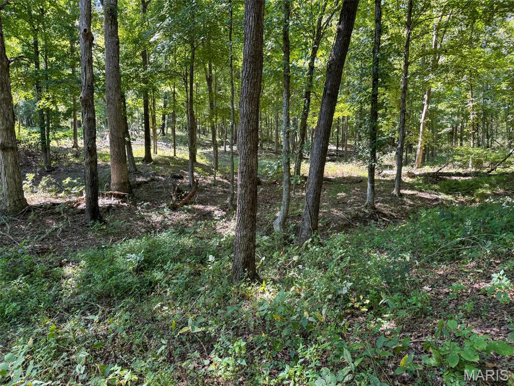 48831 State Highway 51 Property Photo 92