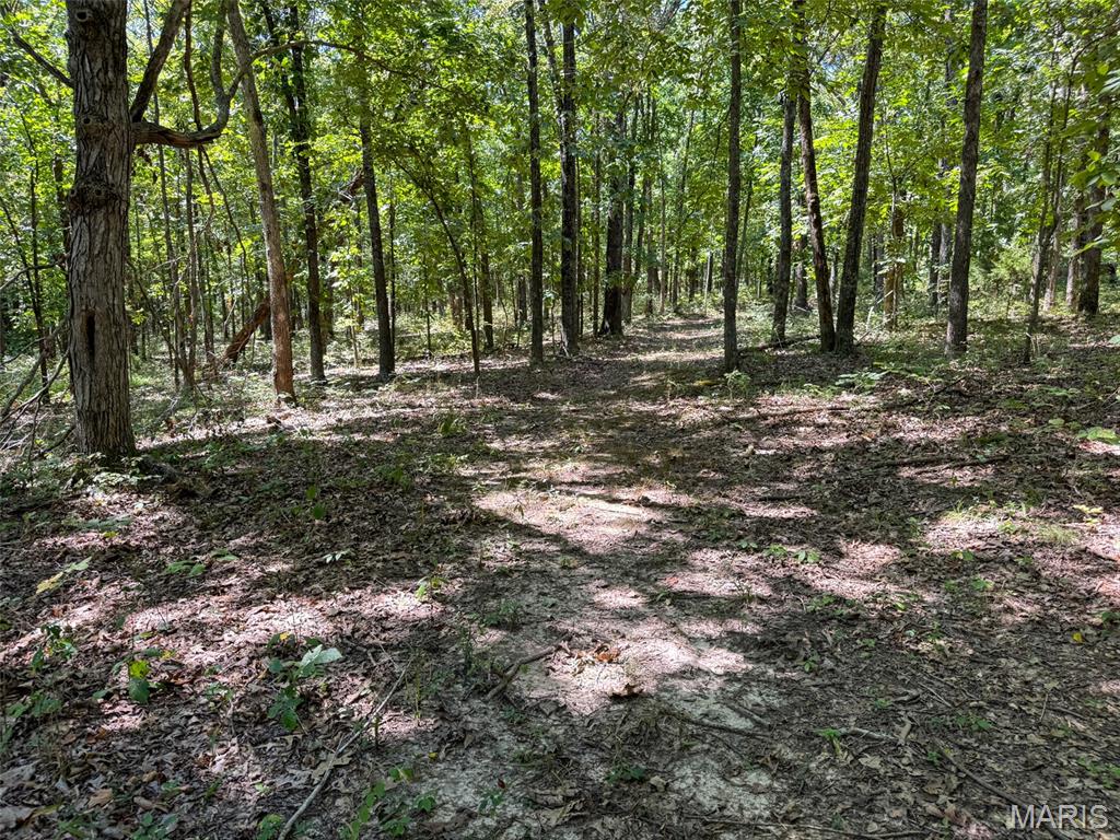 48831 State Highway 51 Property Photo 93