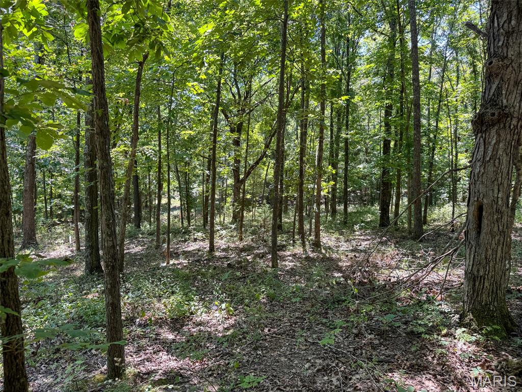 48831 State Highway 51 Property Photo 95