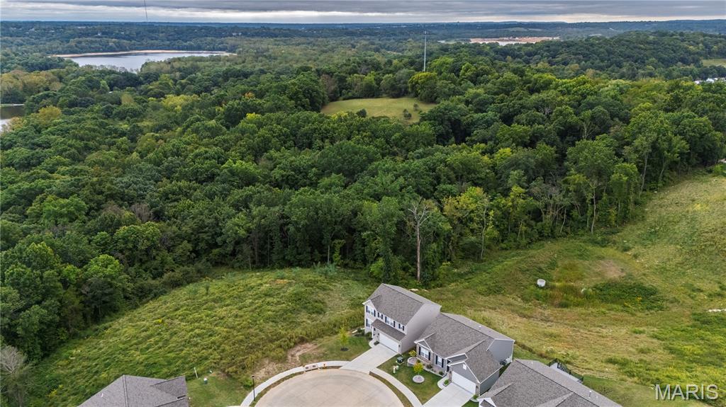 800 Kingston Hills Court Property Photo 34