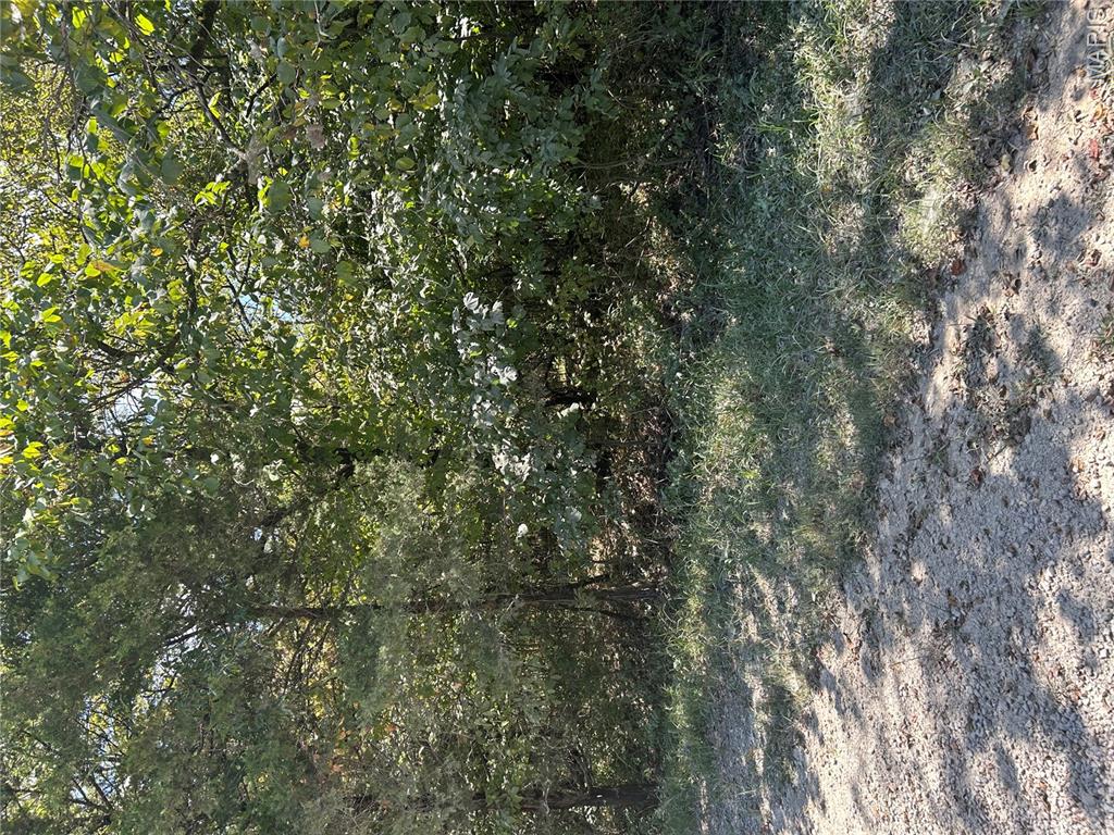 0 Rue Charles Property Photo 1