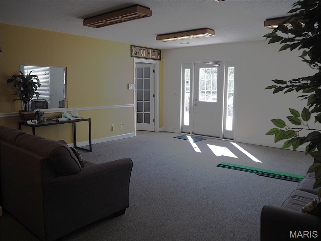 1234 Jungermann Road Property Photo 7