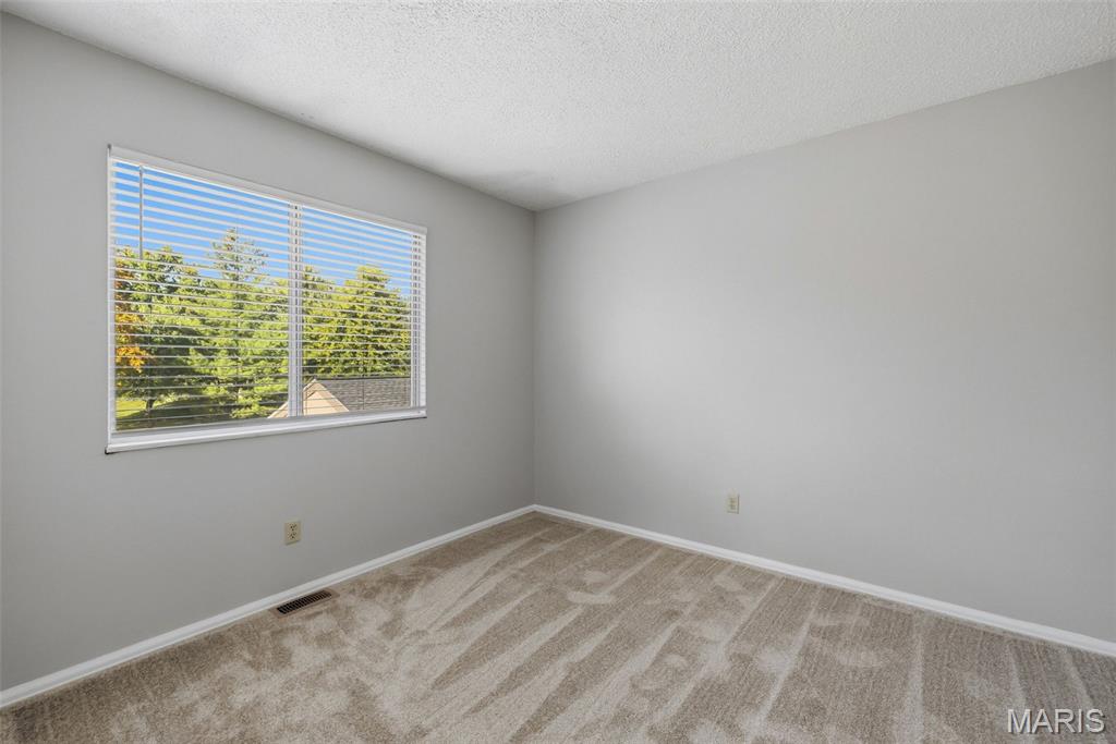 1675 Country Hill Lane Property Photo 22