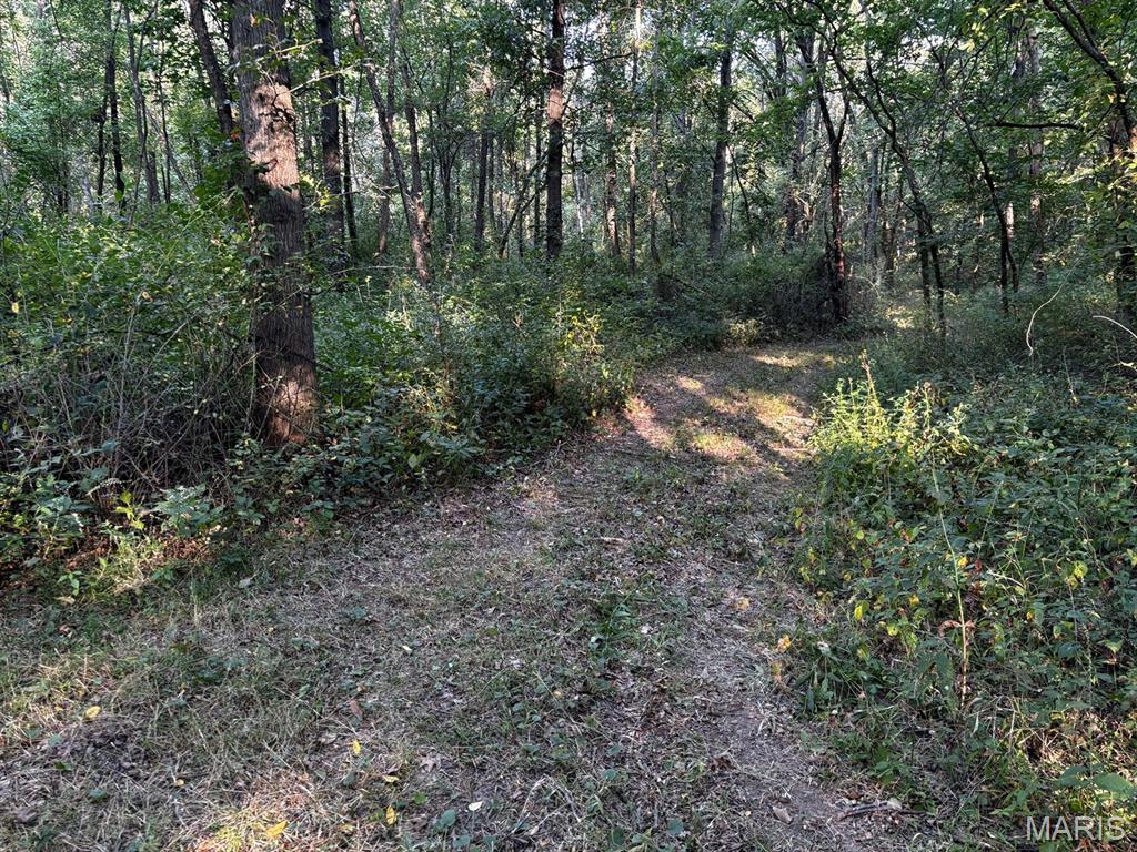 11117 Audrain Road 929 Property Photo 34