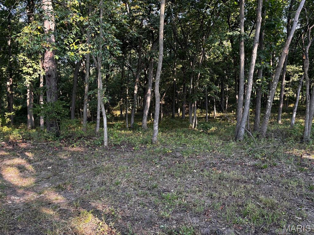 11117 Audrain Road 929 Property Photo 35