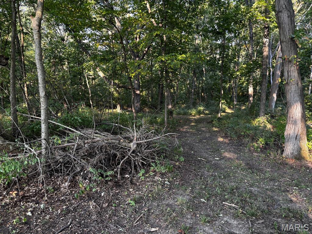 11117 Audrain Road 929 Property Photo 37