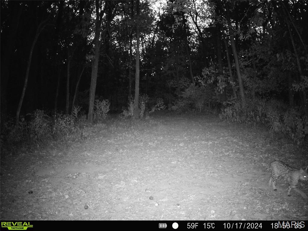 11117 Audrain Road 929 Property Photo 43