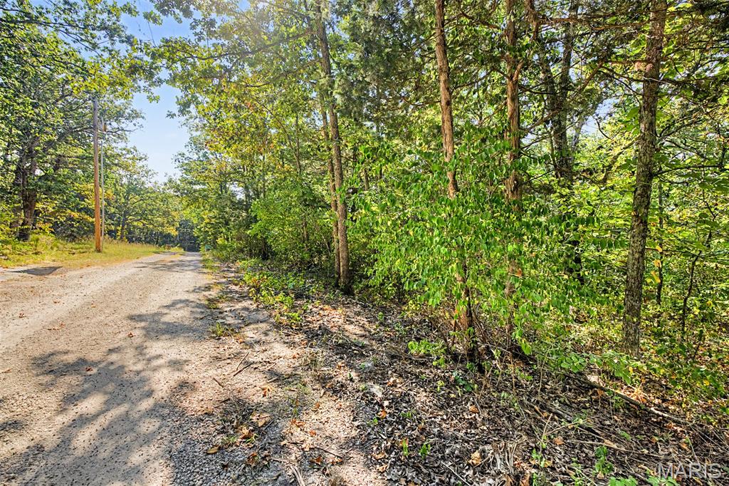 Lot 51 Elm Drive Property Photo 1