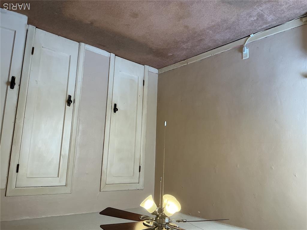 412 W Springfield Avenue Property Photo 17