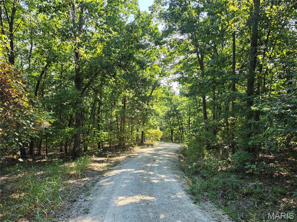 10419 Pride Place Property Photo 8