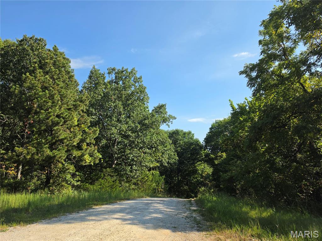 10419 Pride Place Property Photo 34