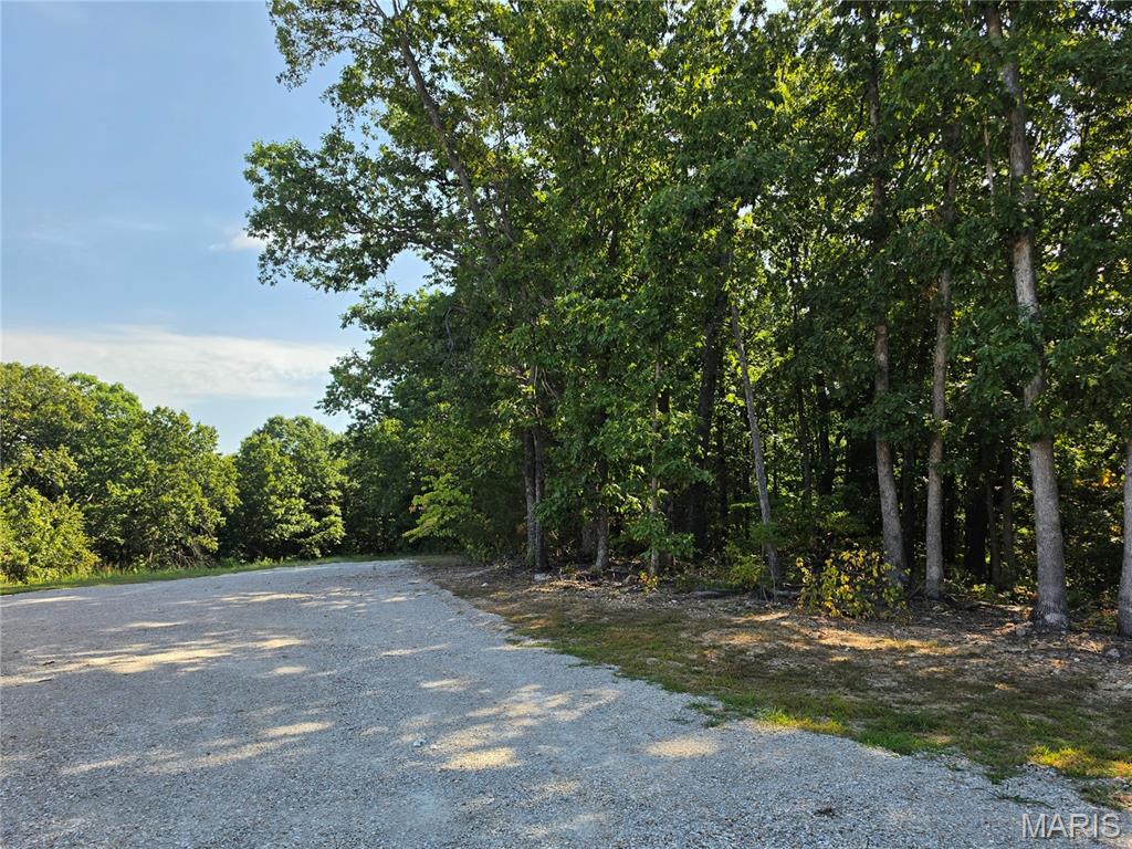 10419 Pride Place Property Photo 59