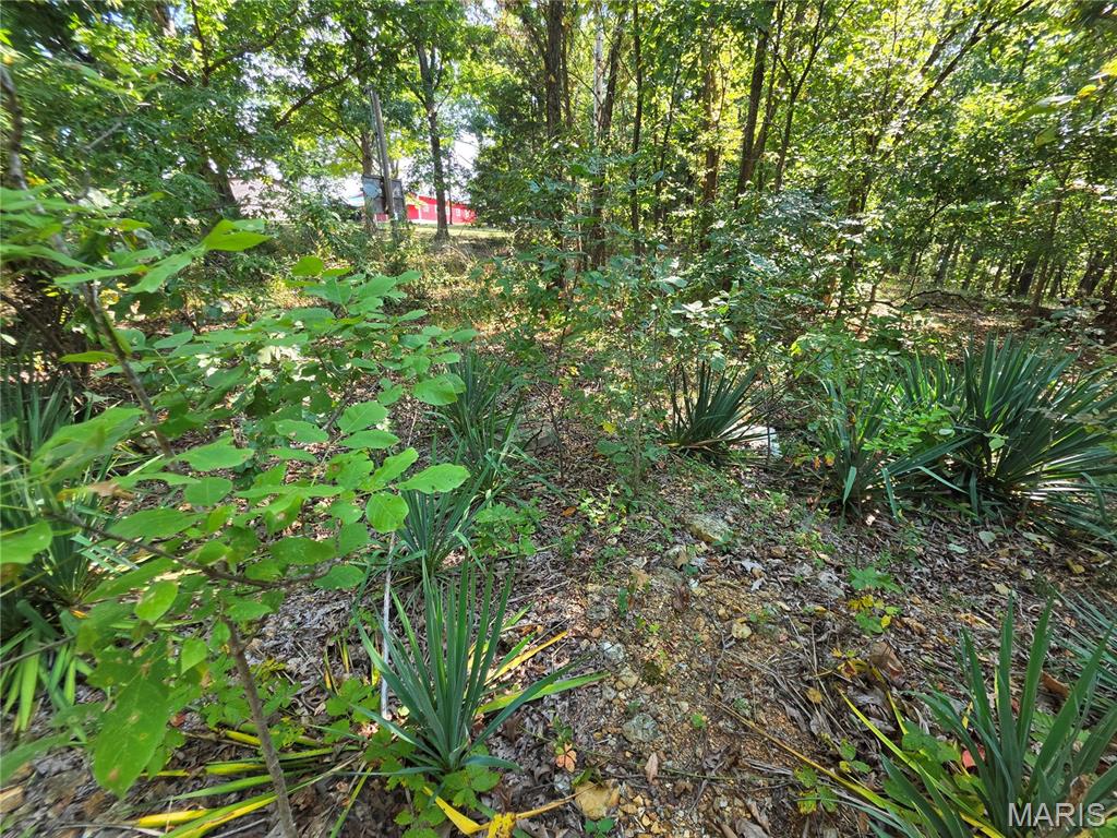 10419 Pride Place Property Photo 60