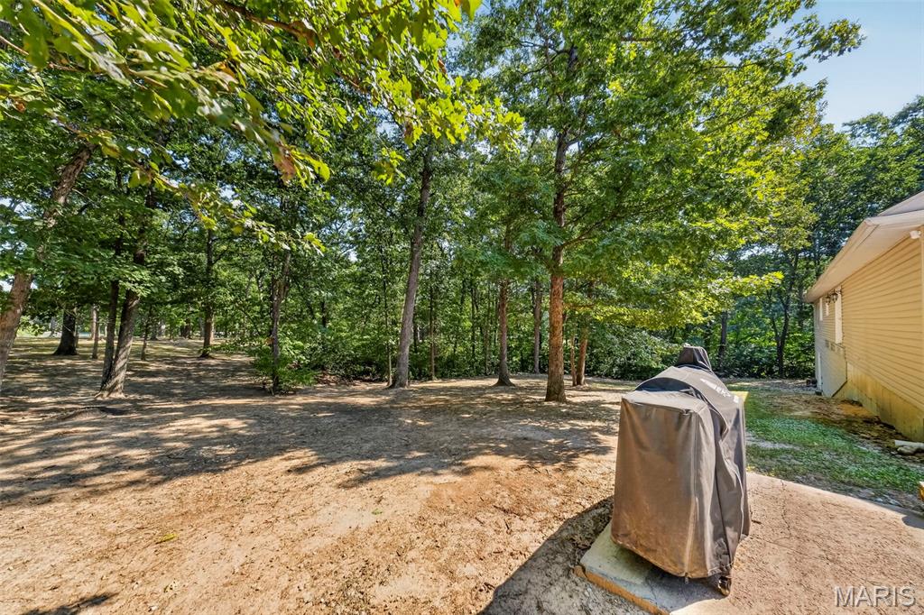 1564 Highway J Property Photo 33