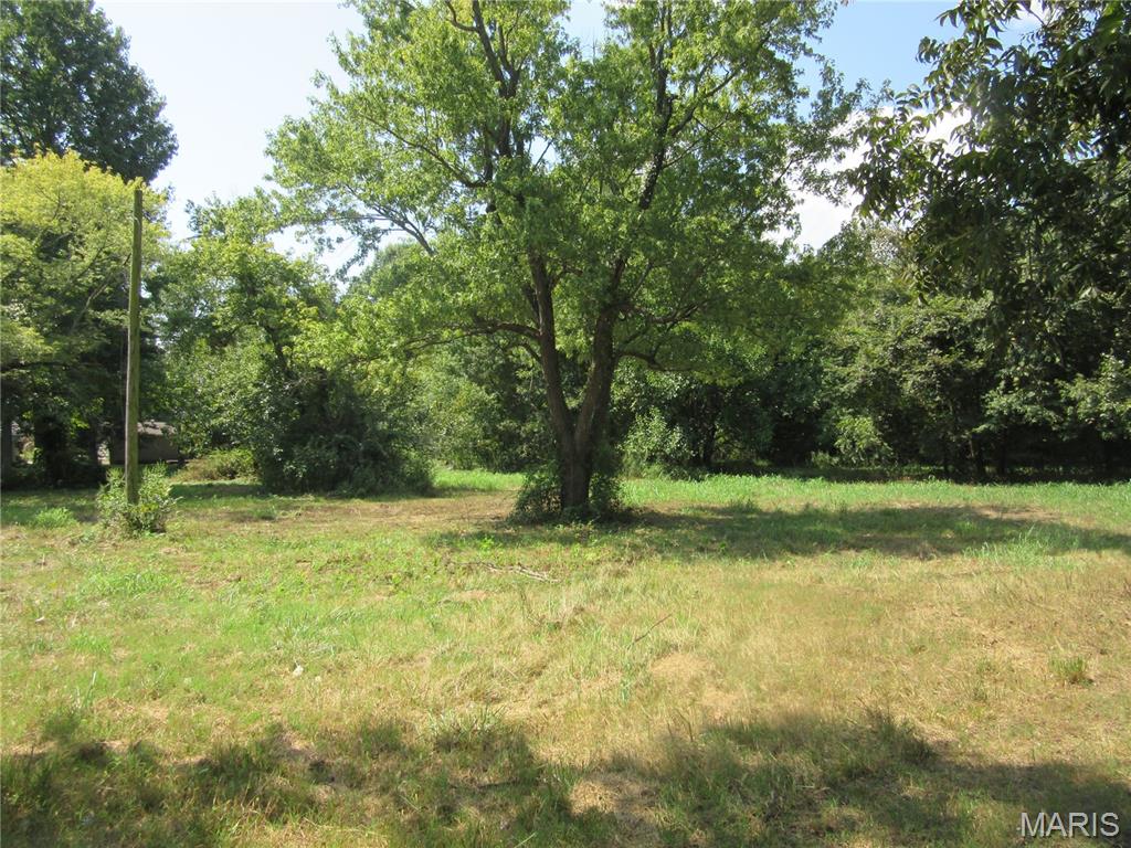0 Monroe Property Photo 3