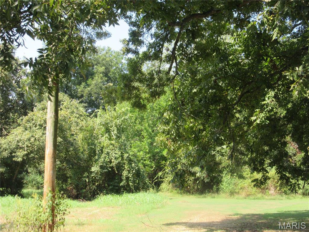 0 Monroe Property Photo 5