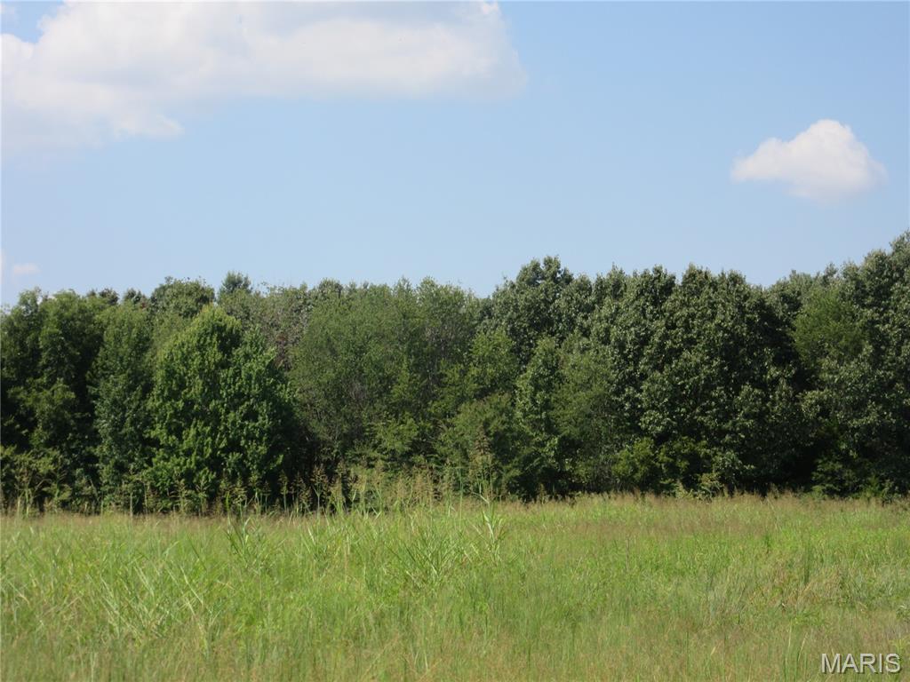 0 Monroe Property Photo 6