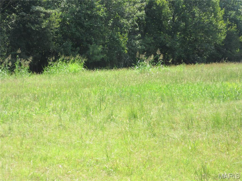 0 Monroe Property Photo 7