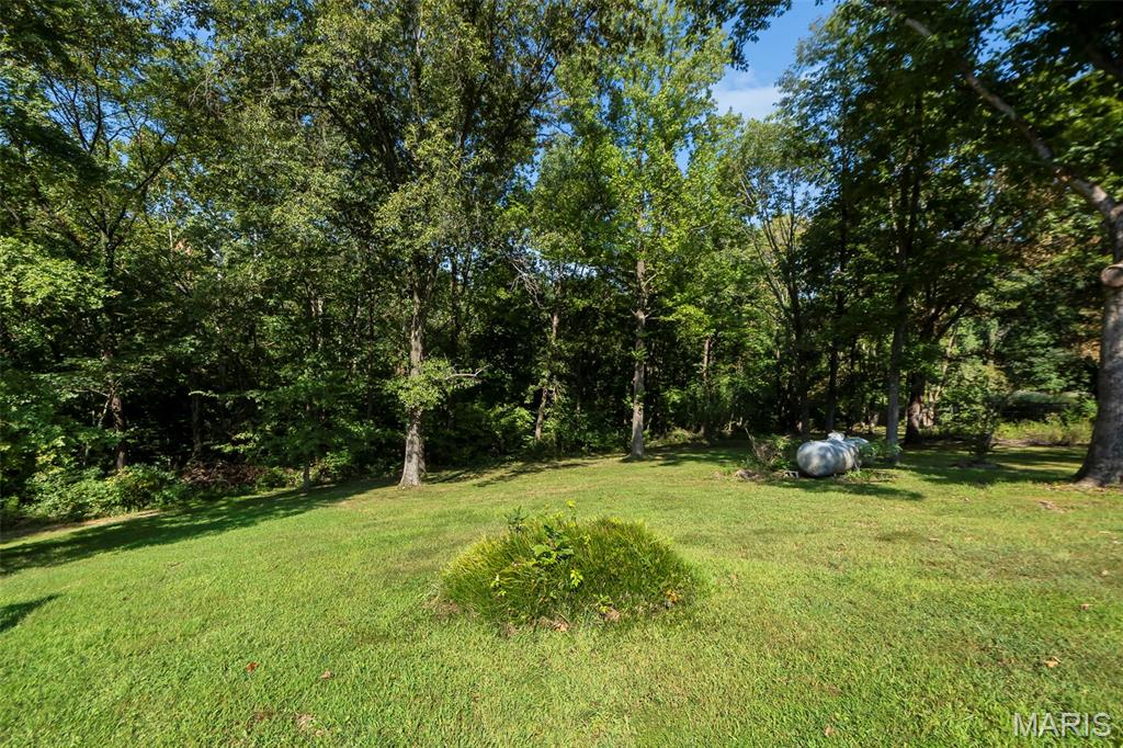 221 Bella Oaks Lane Property Photo 10