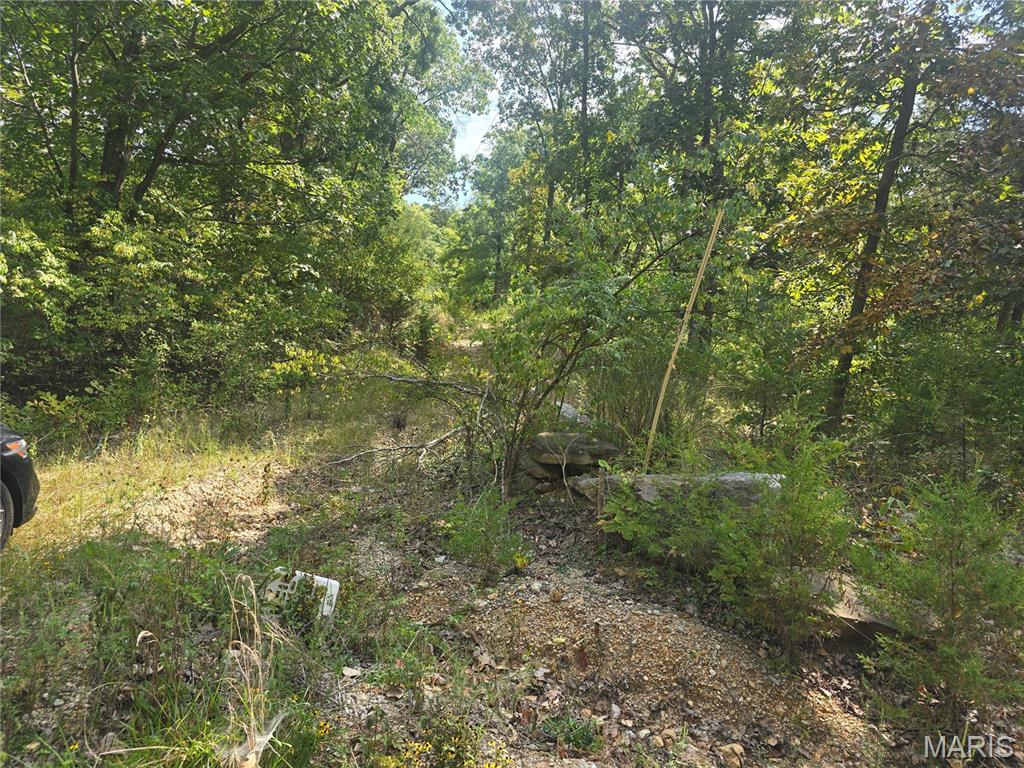 8607 John Mckeever Road Property Photo 2