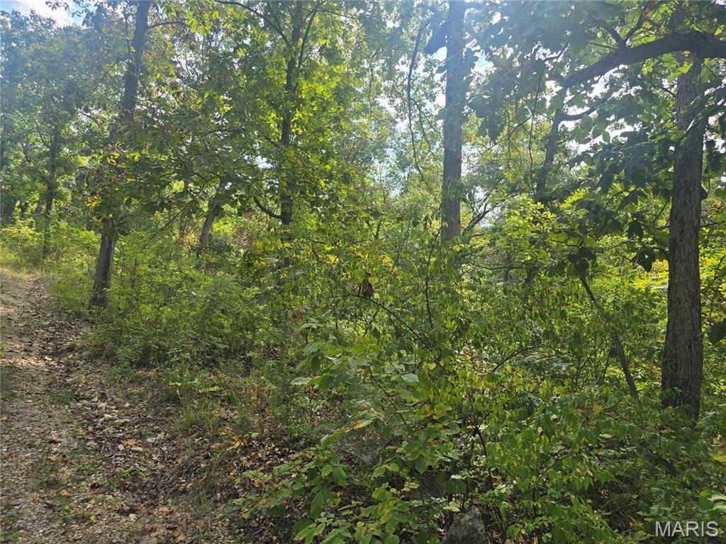 8607 John Mckeever Road Property Photo 6