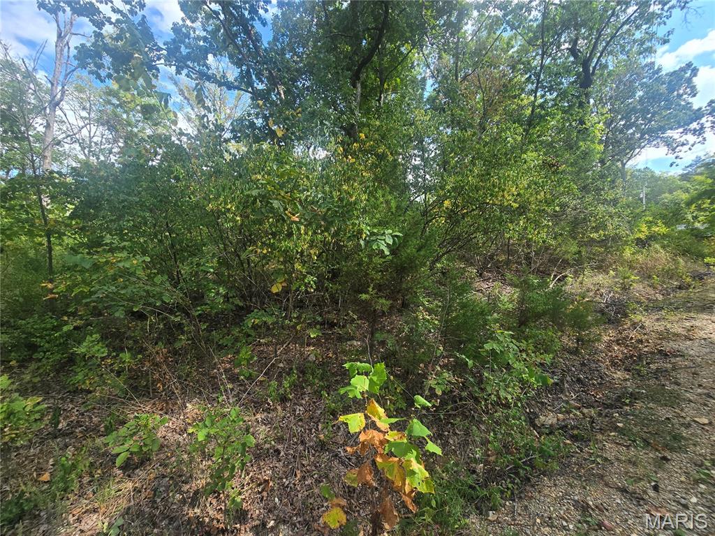 8607 John Mckeever Road Property Photo 7