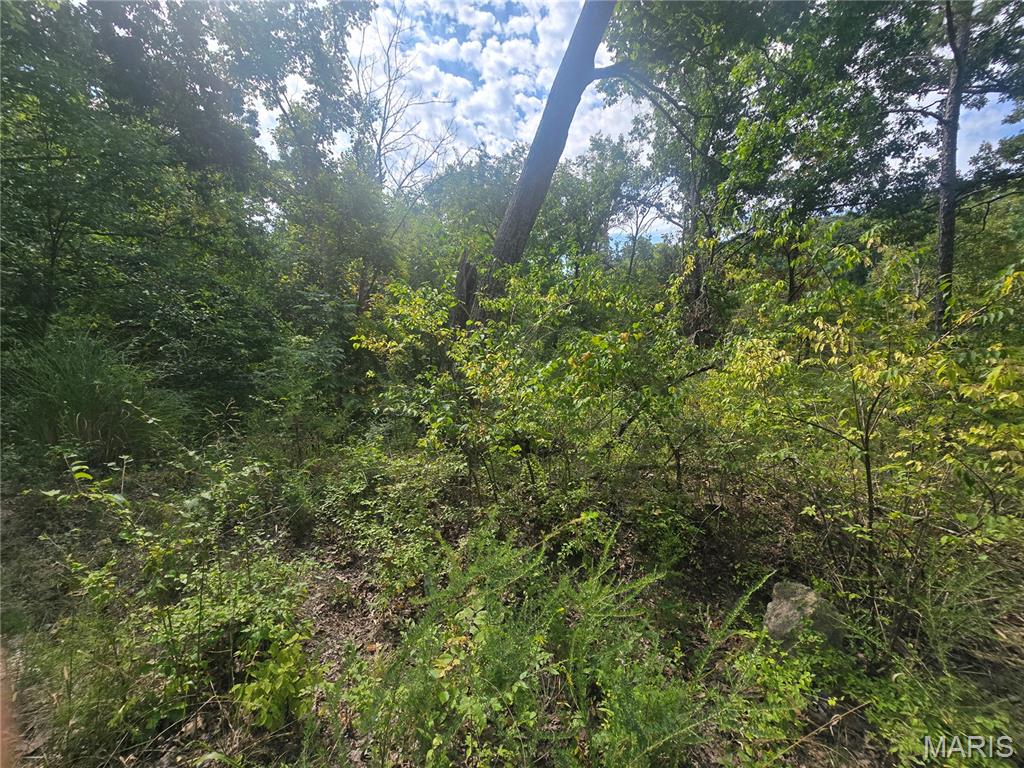 8607 John Mckeever Road Property Photo 11