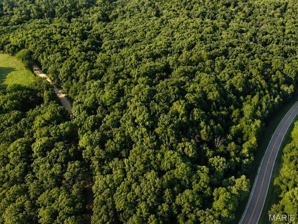 Tbd State Hwy J Property Photo 1