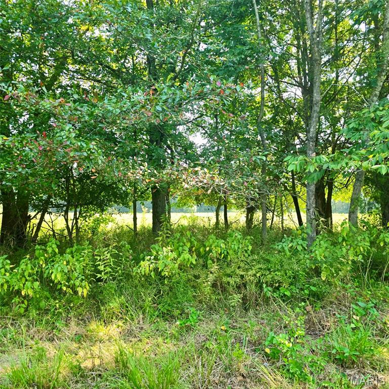 000 Oshel Property Photo 6