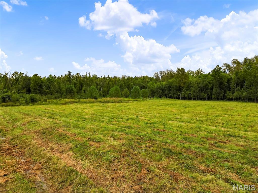 6024 Highway N Property Photo 4