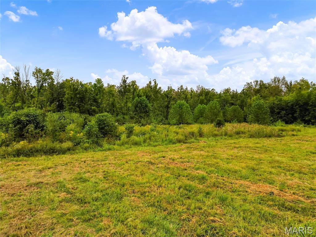 6024 Highway N Property Photo 11