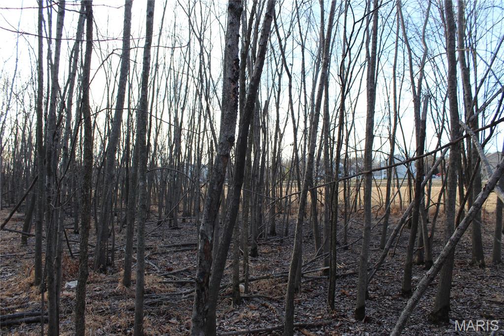 6024 Highway N Property Photo 33