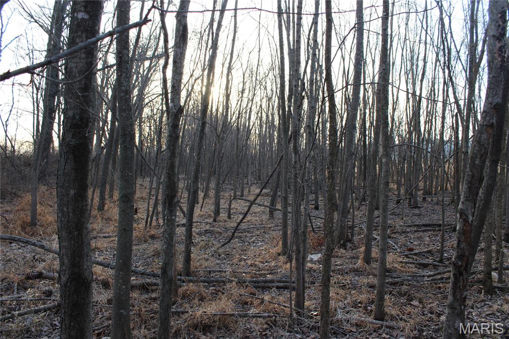 6024 Highway N Property Photo 34
