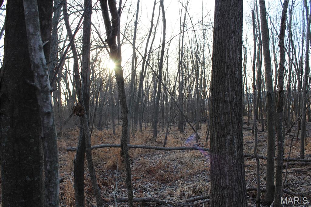 6024 Highway N Property Photo 35