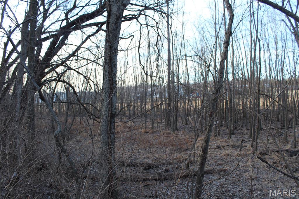 6024 Highway N Property Photo 38