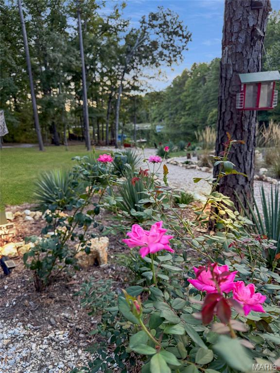 10994 Crestwood Road Property Photo 7