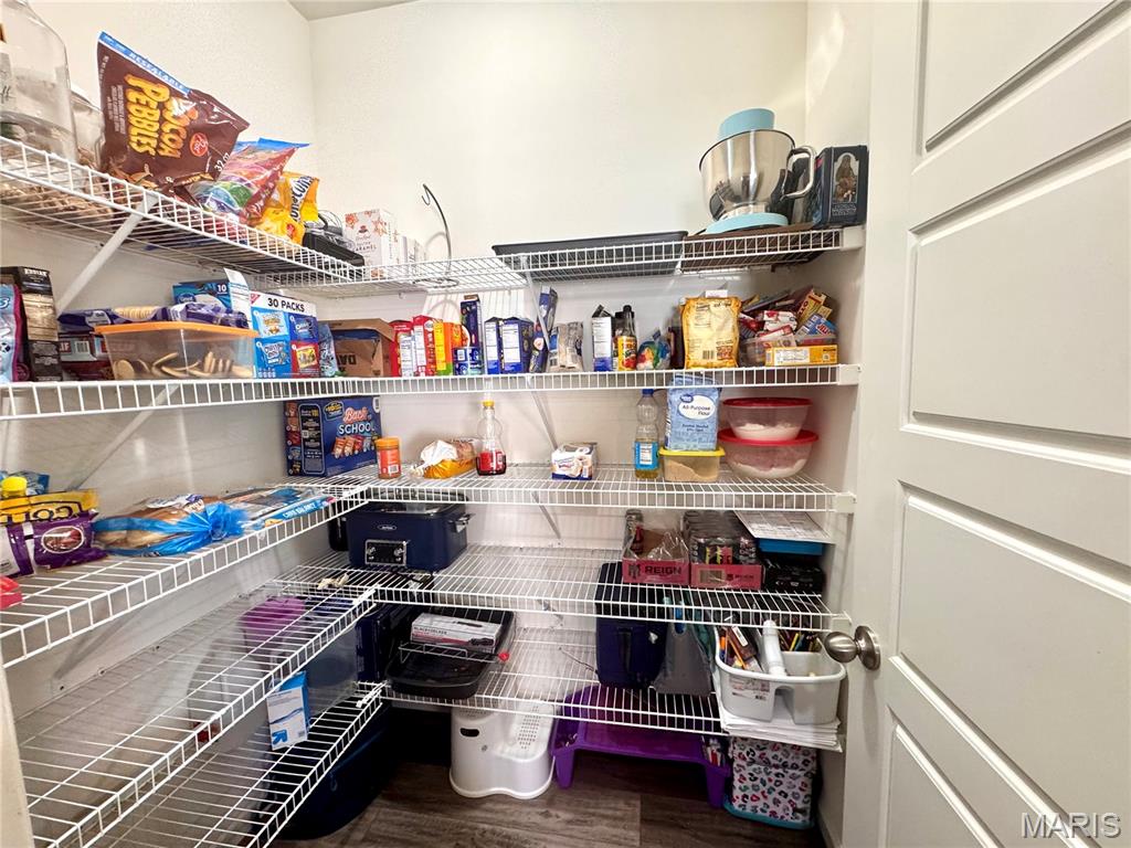 500 Arctic Wolf Drive Property Photo 19