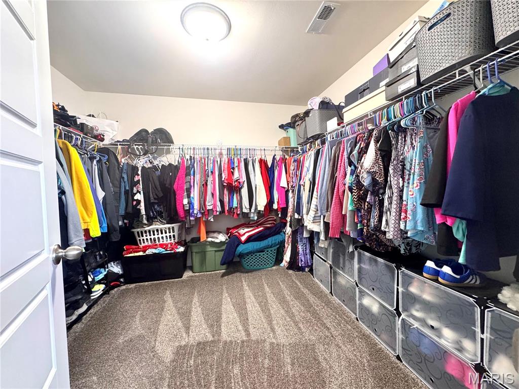500 Arctic Wolf Drive Property Photo 30