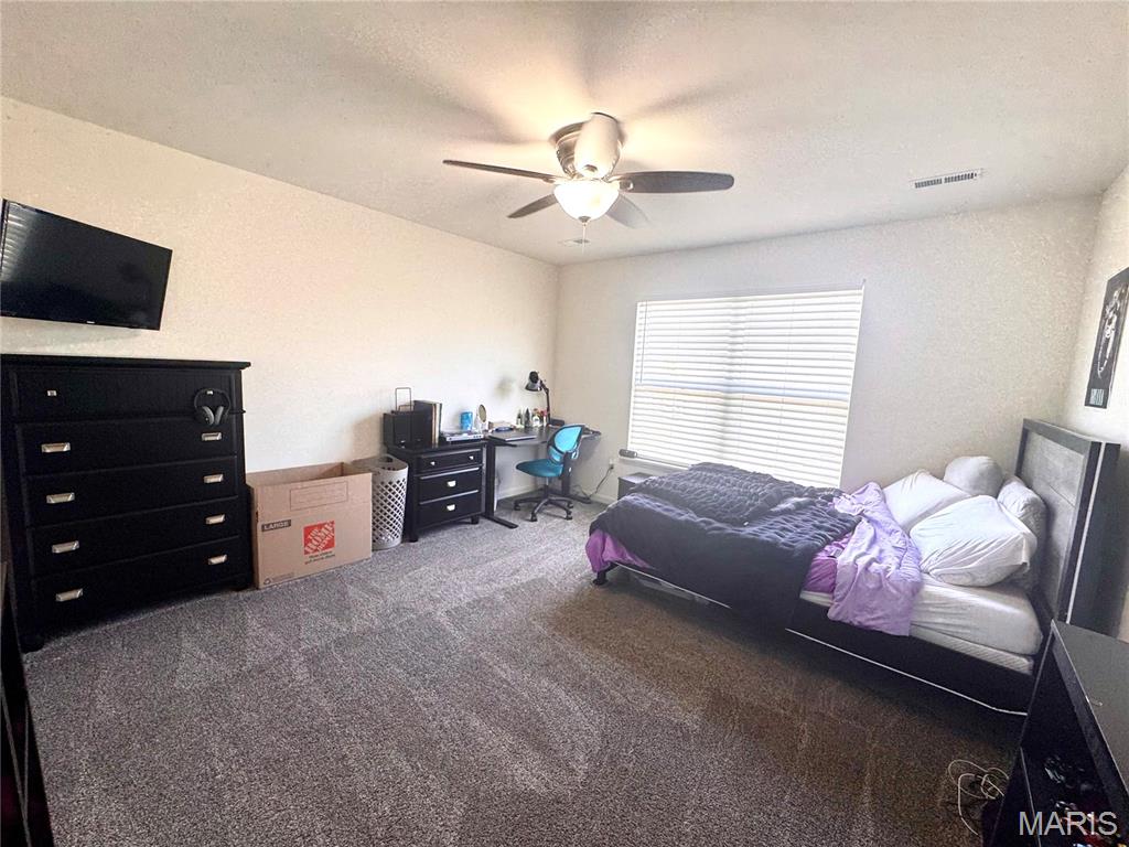 500 Arctic Wolf Drive Property Photo 34