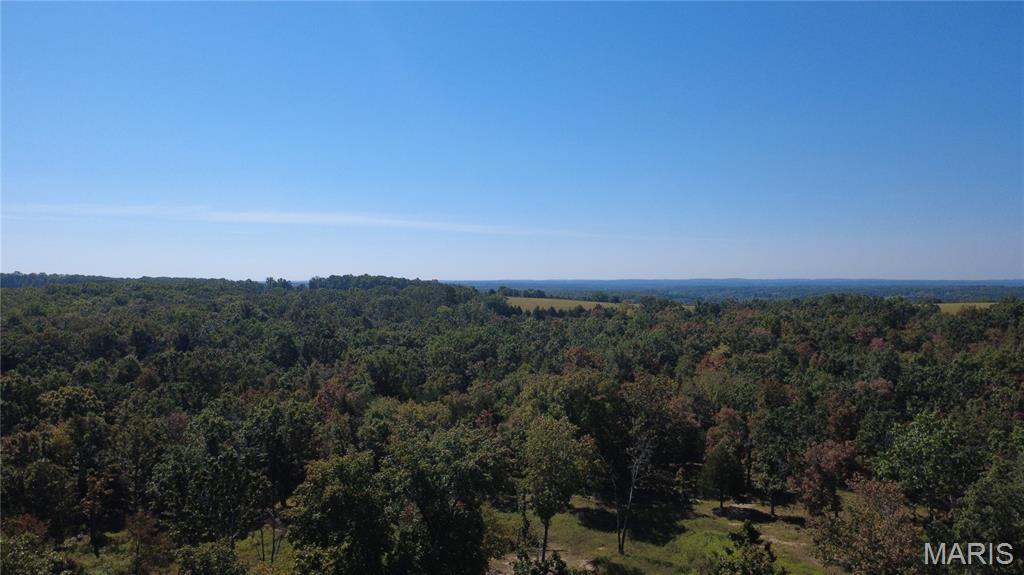 21806 King Drive Property Photo 45
